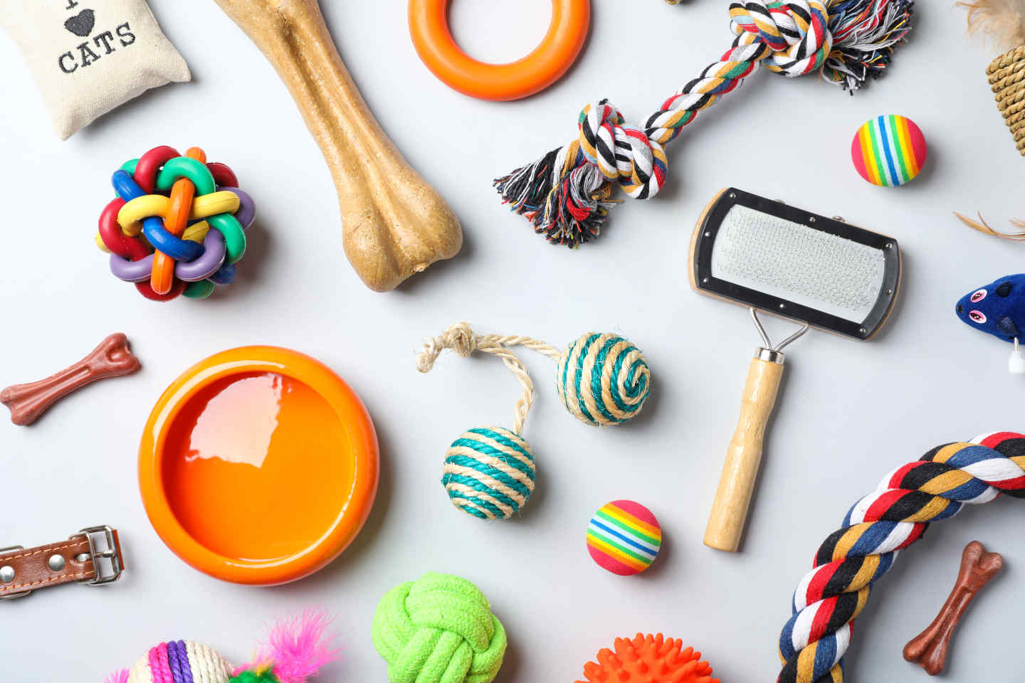 Pet Accessories