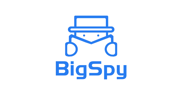 bigspy logo