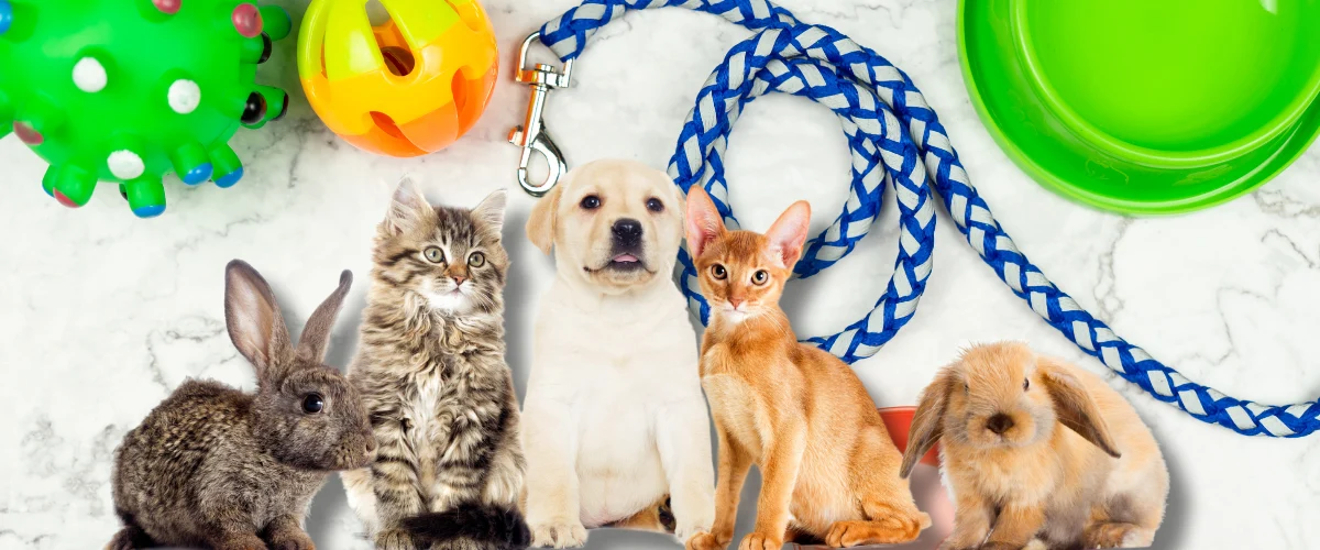 Produits et accessoires pour animaux de compagnie