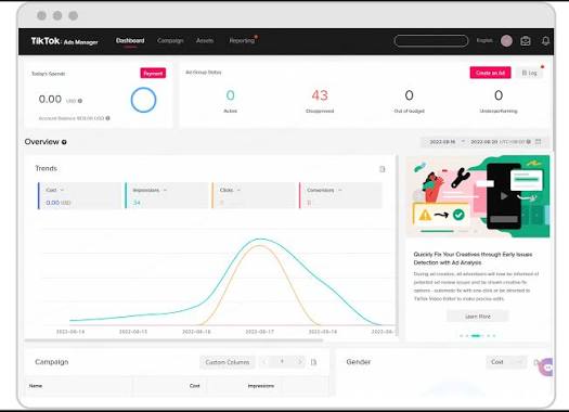 Dashboard TikTok Ads Manager