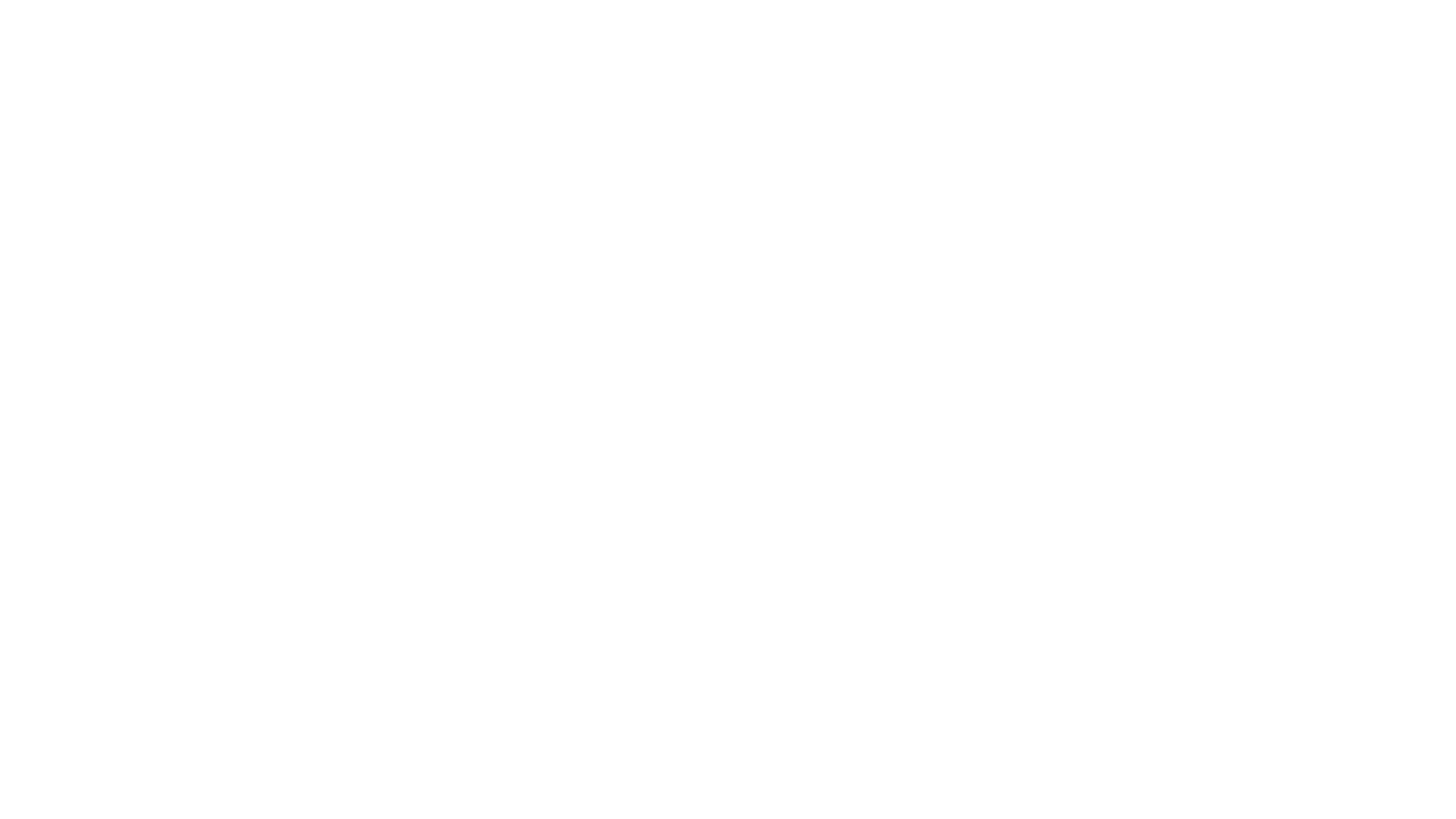 Lentner Technology logo, white
