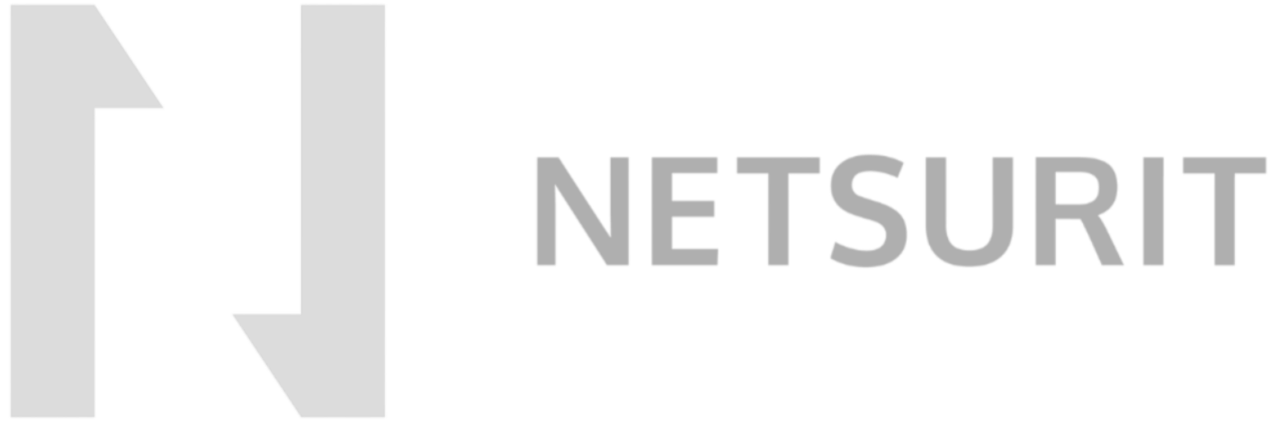 Netsurit logo, gray