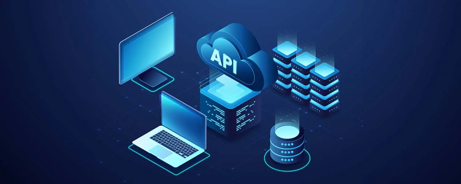 api system
