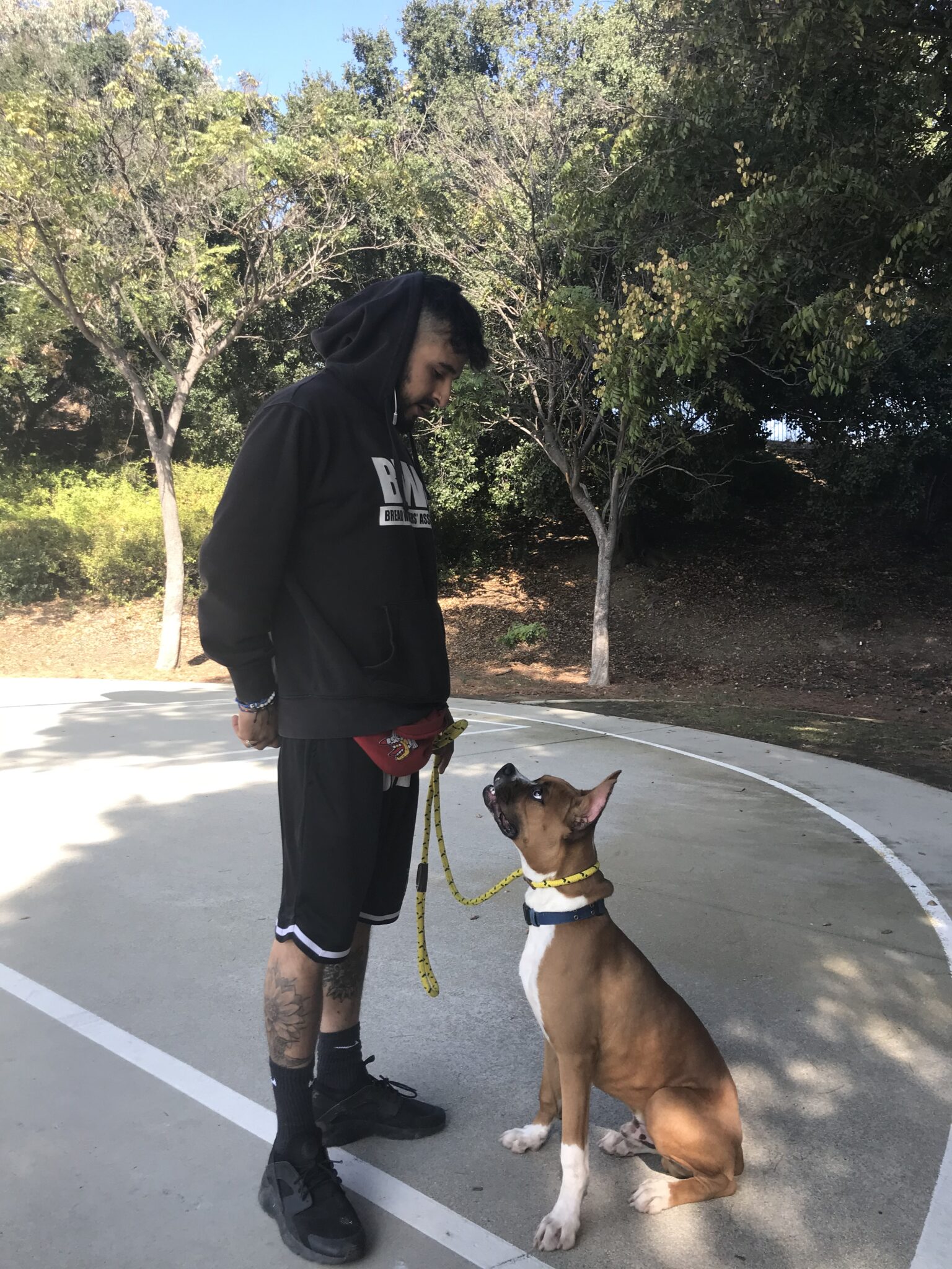 Eddie Head Trainer having a dog sit