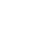 Shield icon