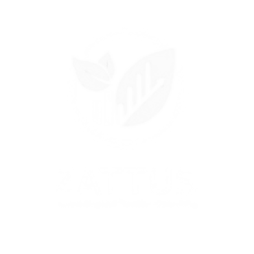 Zattus Accounting