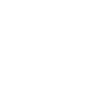 Phoenix Accounting Group logo