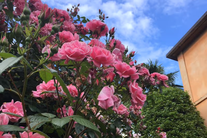 Villa Novecento Rosenstrauch