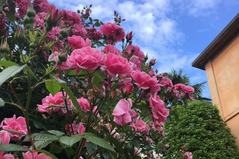 Villa Novecento Rosenstrauch