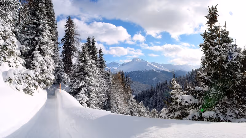 Schatzalp Winterwandern