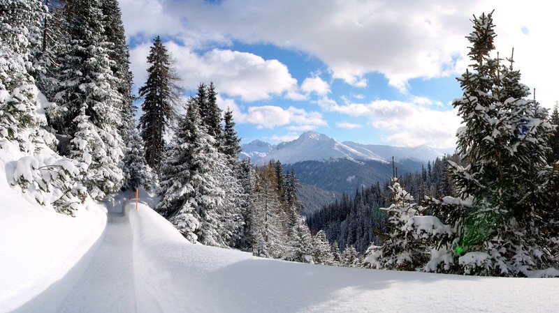 Schatzalp Winterwandern