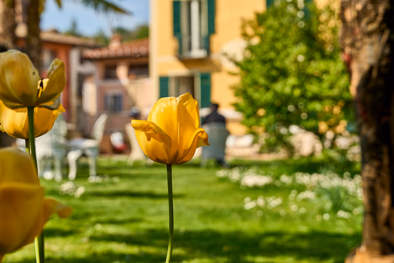 Frühlingserwachen in der Villa Carona