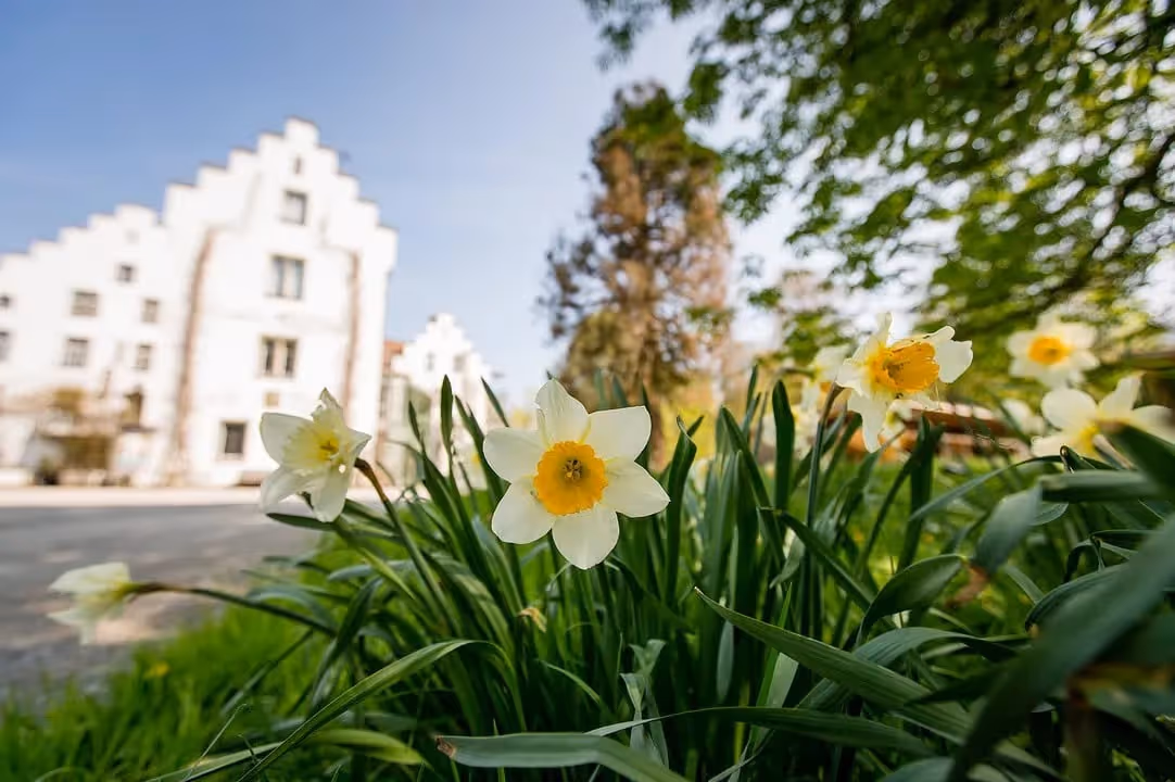 Ostern im Schloss Wartegg
