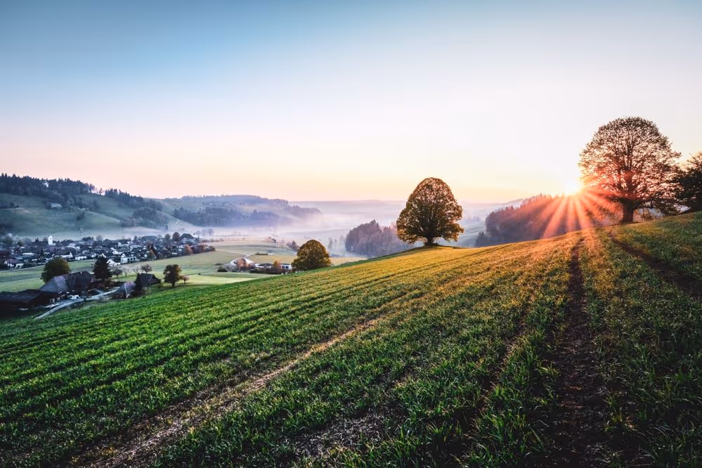 Garten Hotel Bären Dürrenroth im Herbst