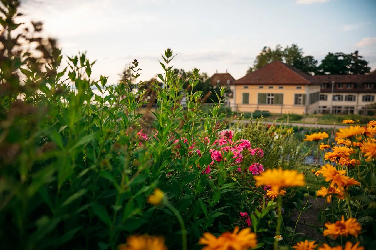 Arenenberg, Salenstein