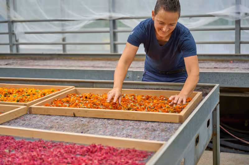 Gärtnerin bei der Arbeit