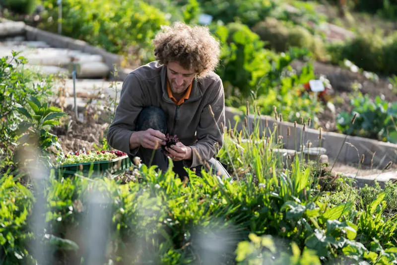 Kräuterhotel Edelweiss Rigi