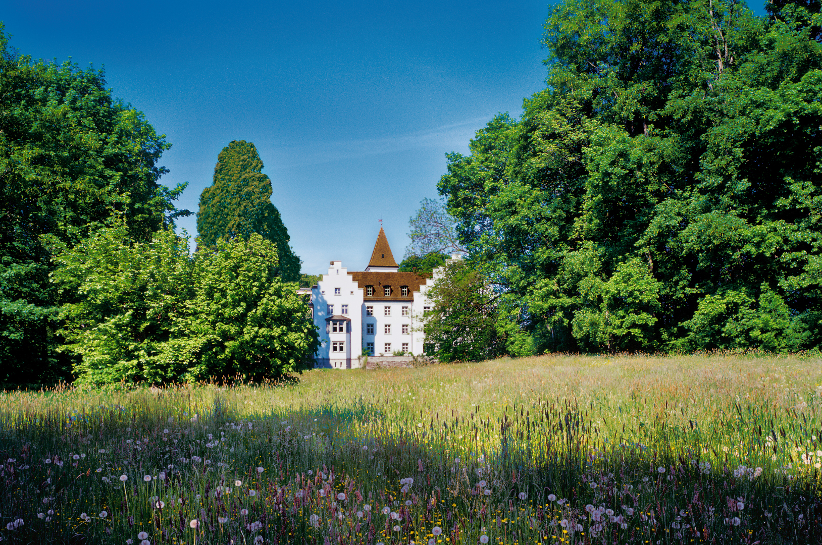 Heiraten im Märchenschloss