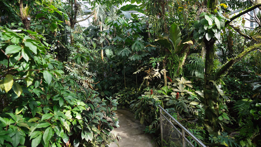 Botanischer Garten Basel