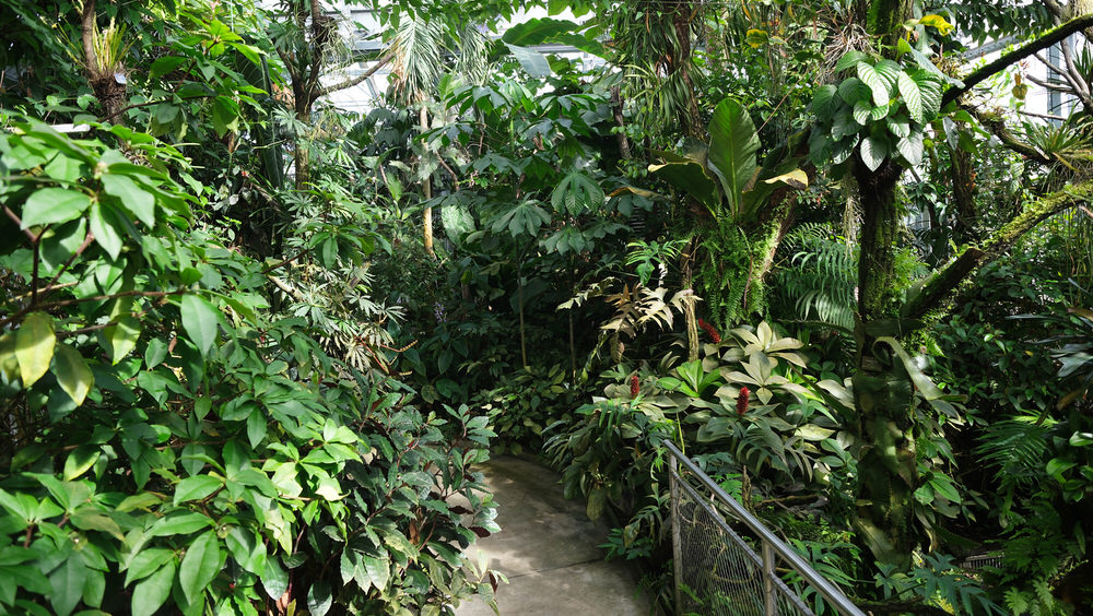 Botanischer Garten Basel
