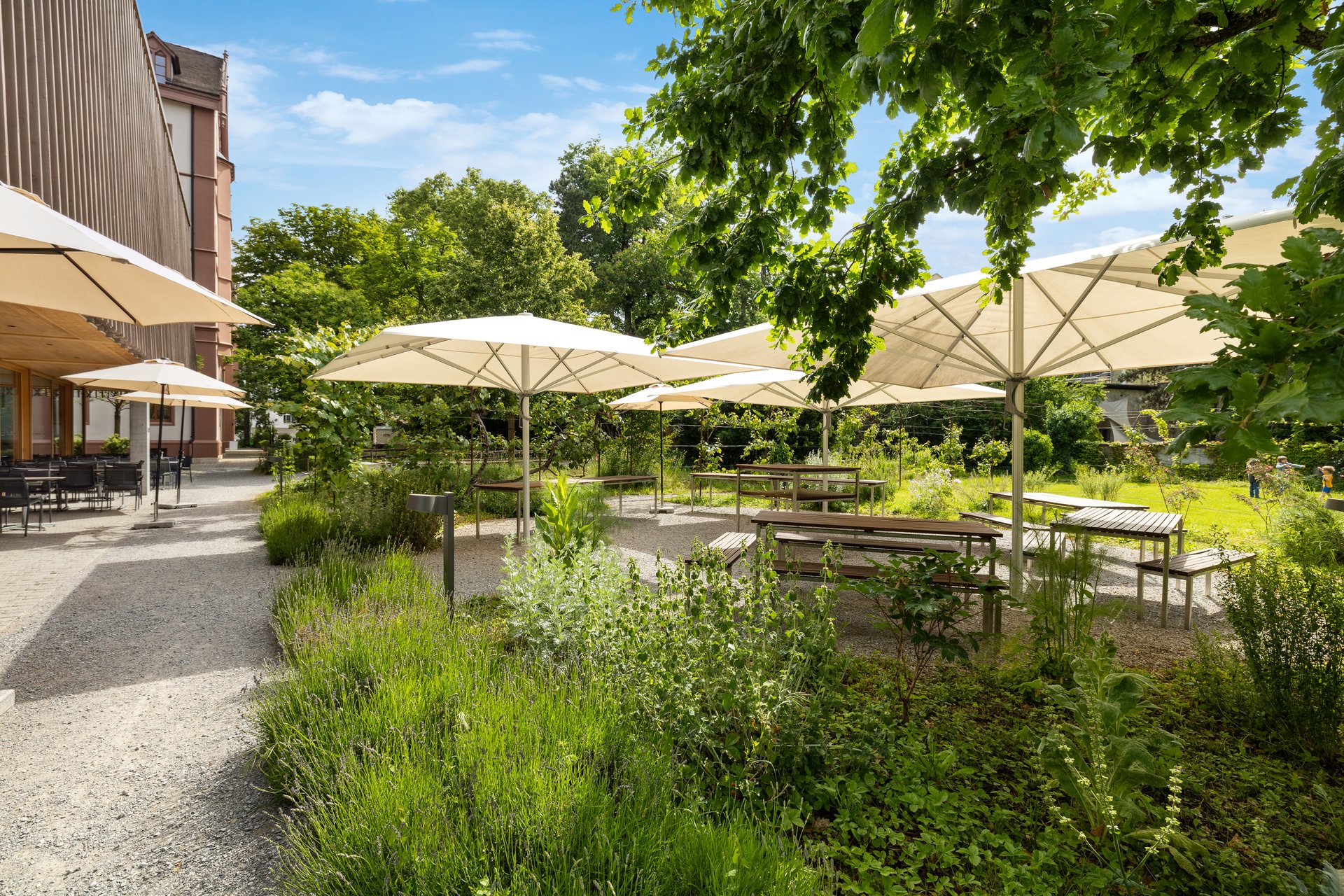 Verschwommene Nahaufnahme von Blumen hinter einem pinkfarbenen Filter.