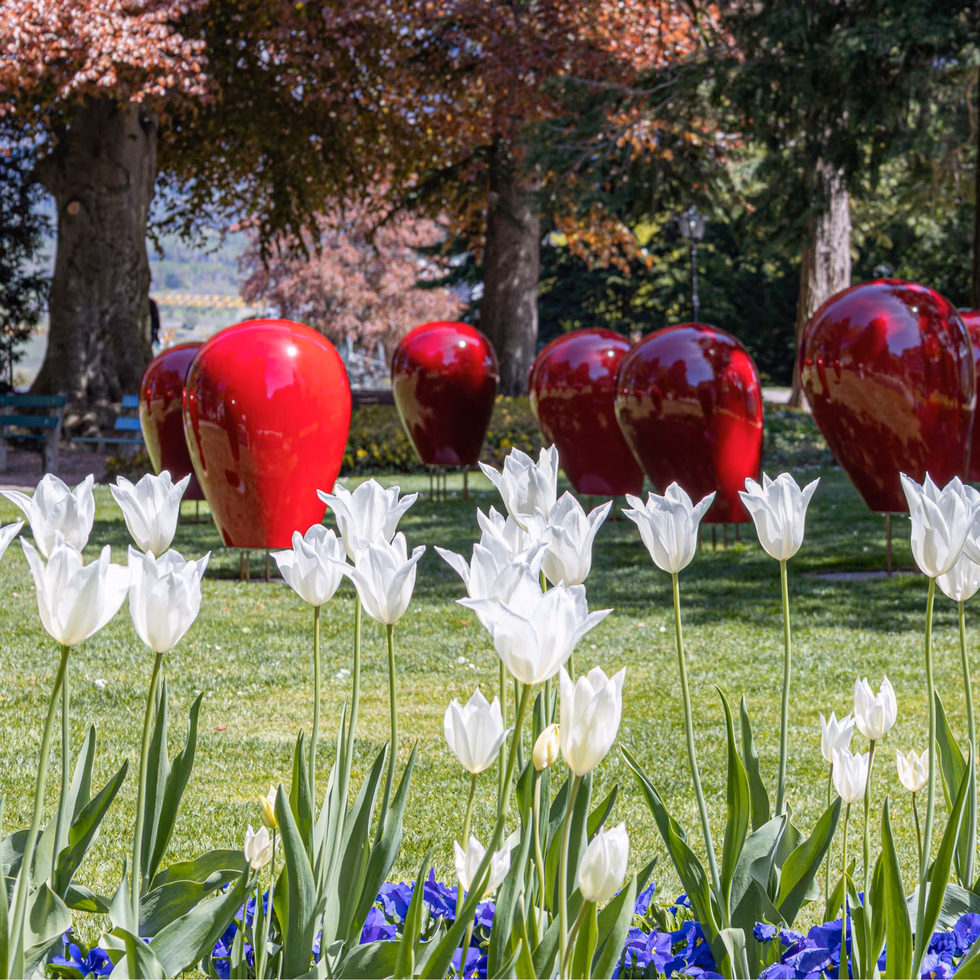 Klanggarten - Pius Morger