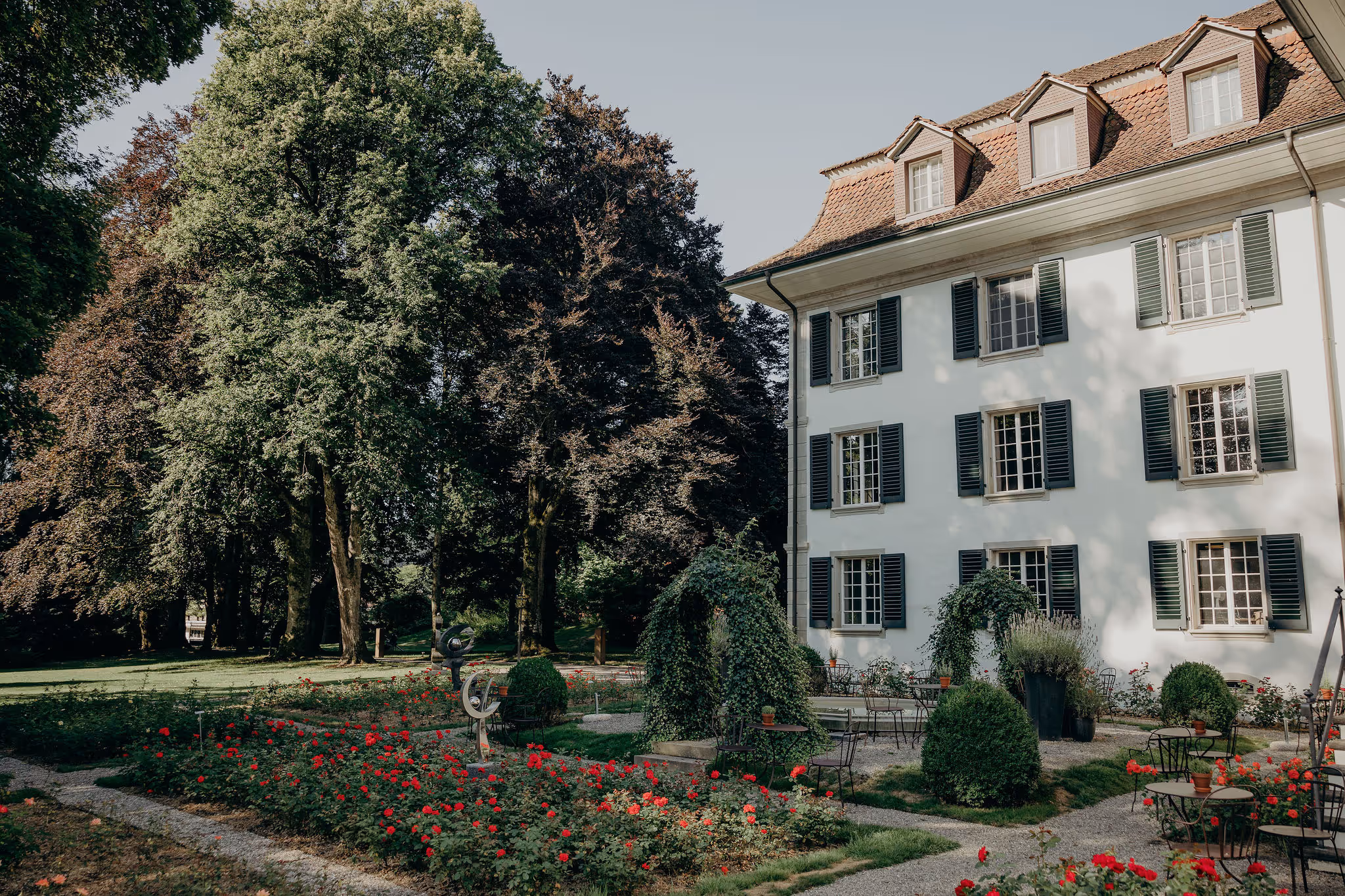 Verschwommene Nahaufnahme von Blumen hinter einem pinkfarbenen Filter.