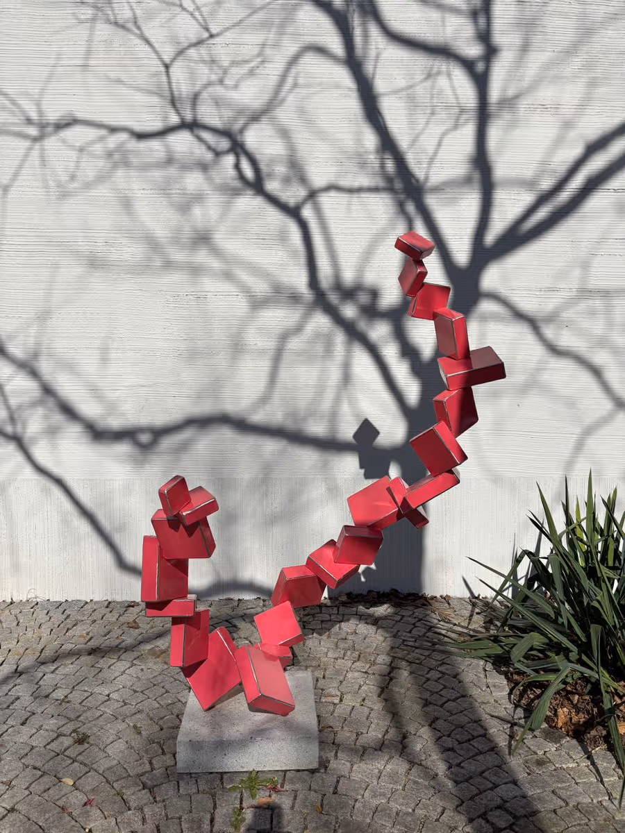 Network Pink - Gabriel Mazenauer