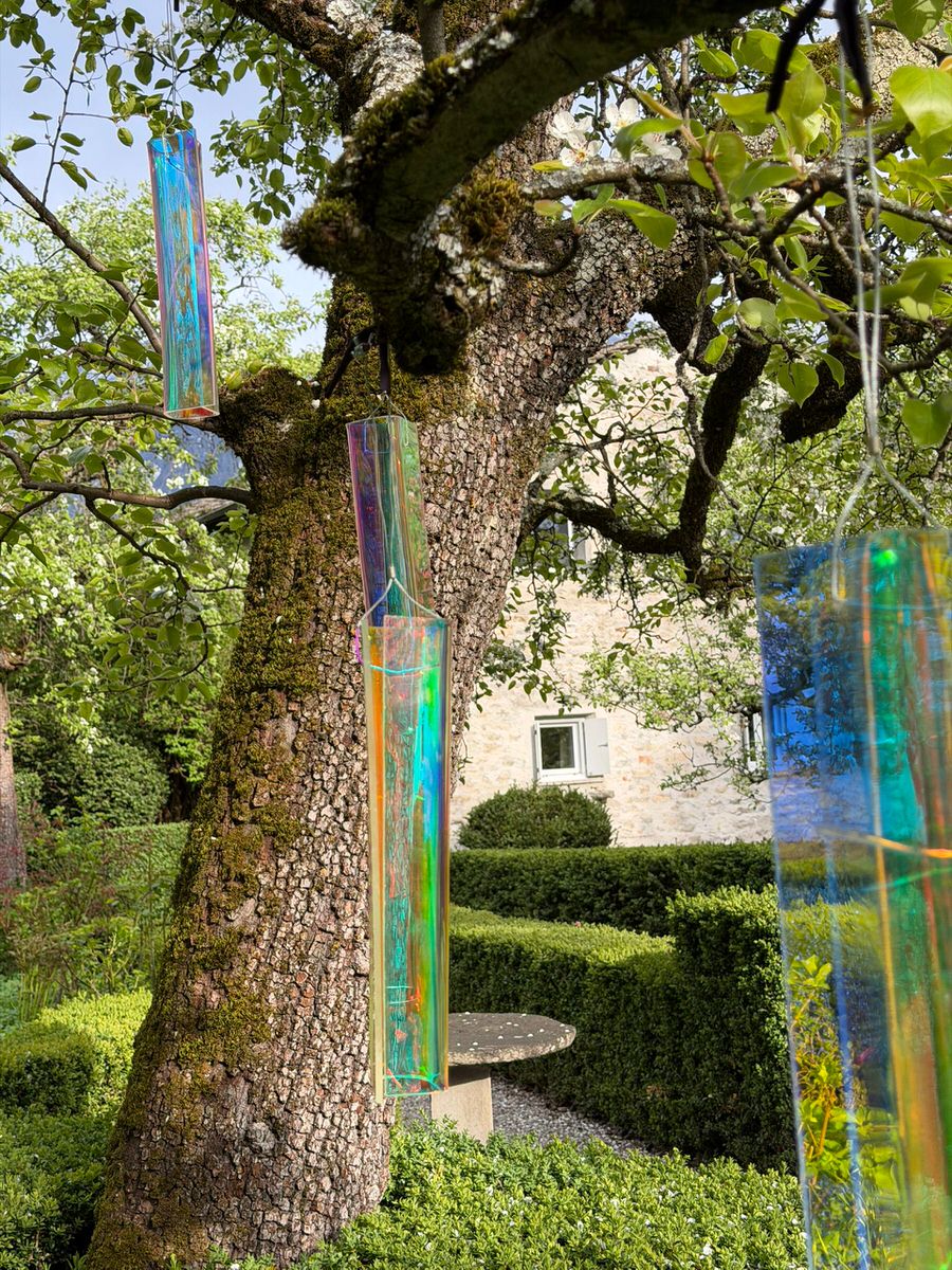 Installation - Renata Schalcher