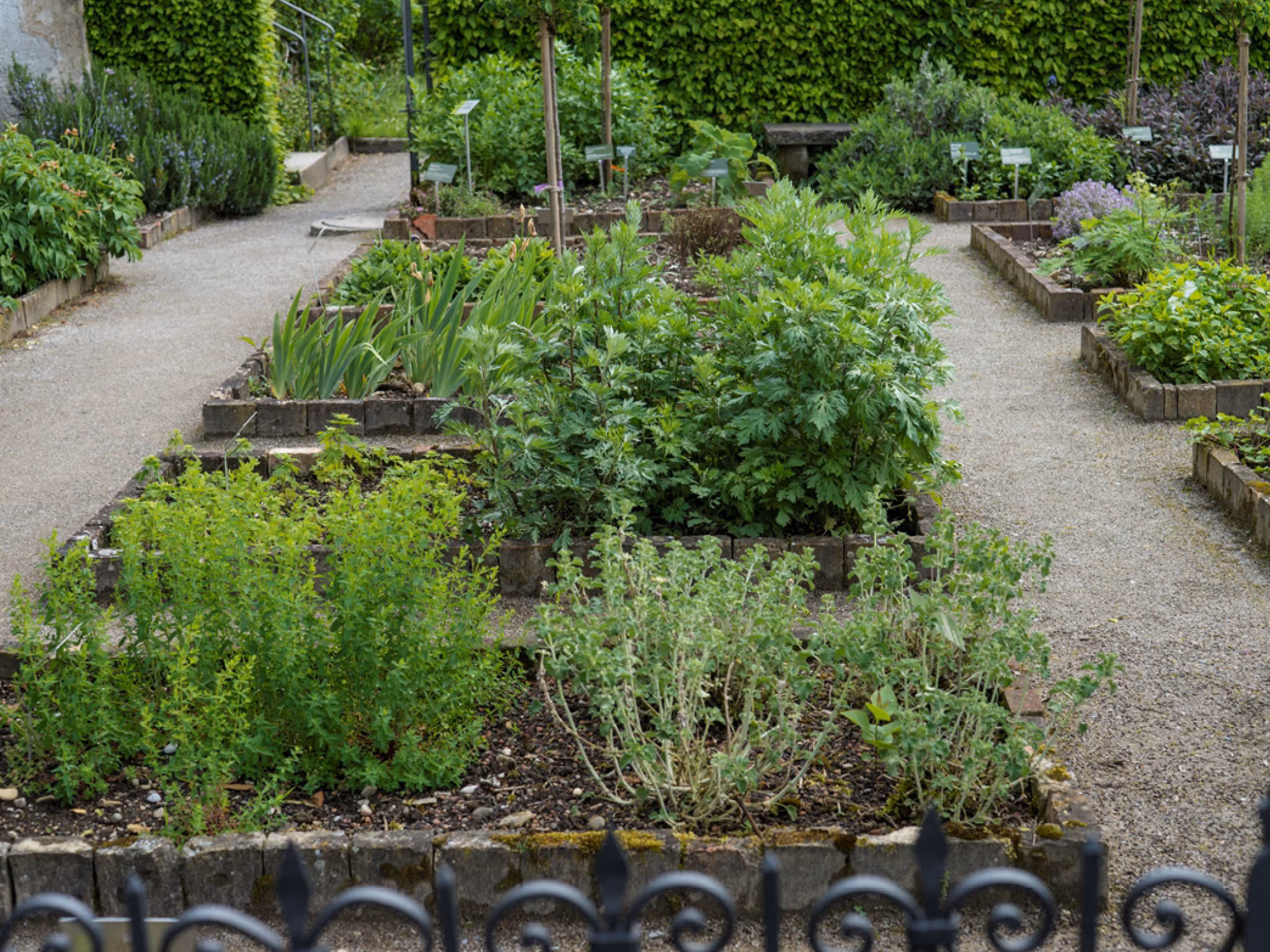 Kartause Ittingen Garten