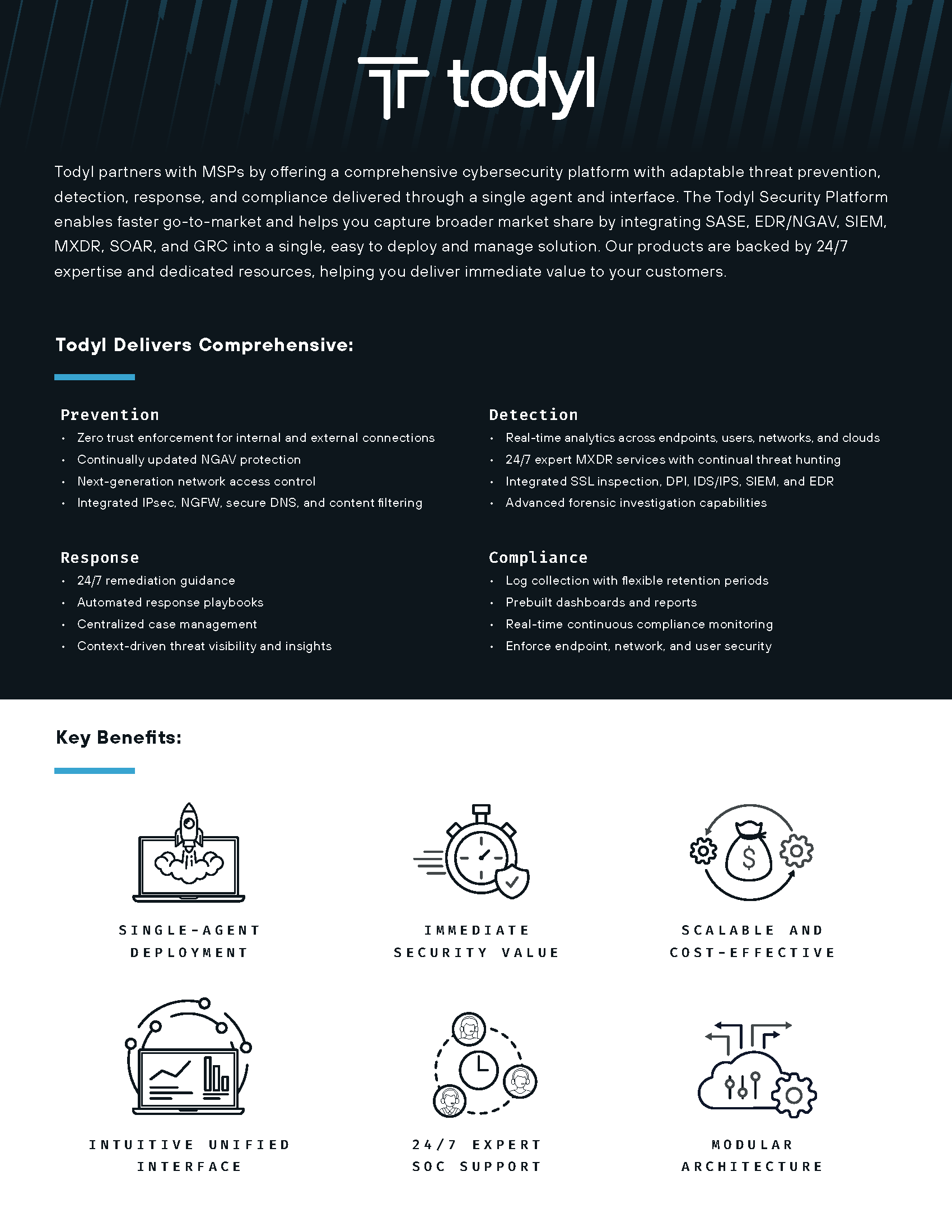 Overview 2025 Datasheet | Todyl