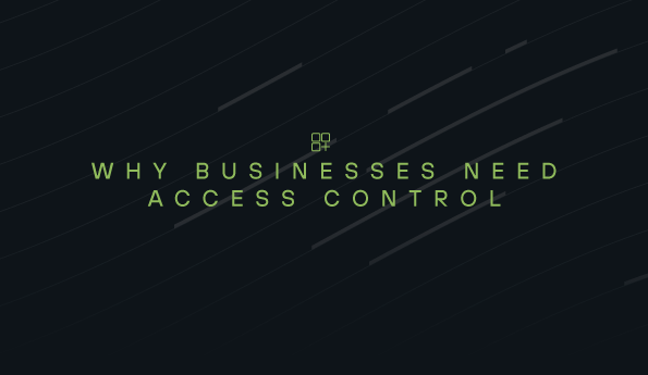 Why Businesses Need Access Control