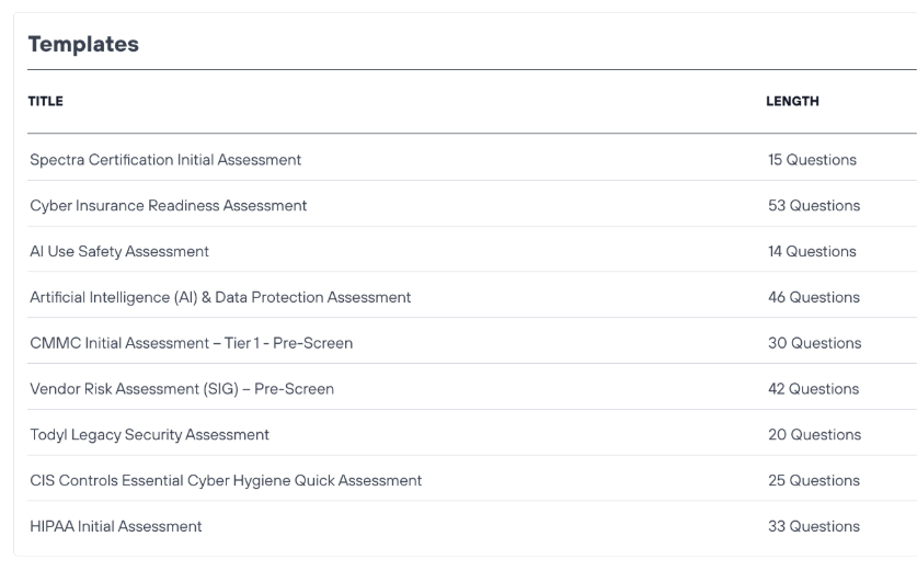 security assessment templates