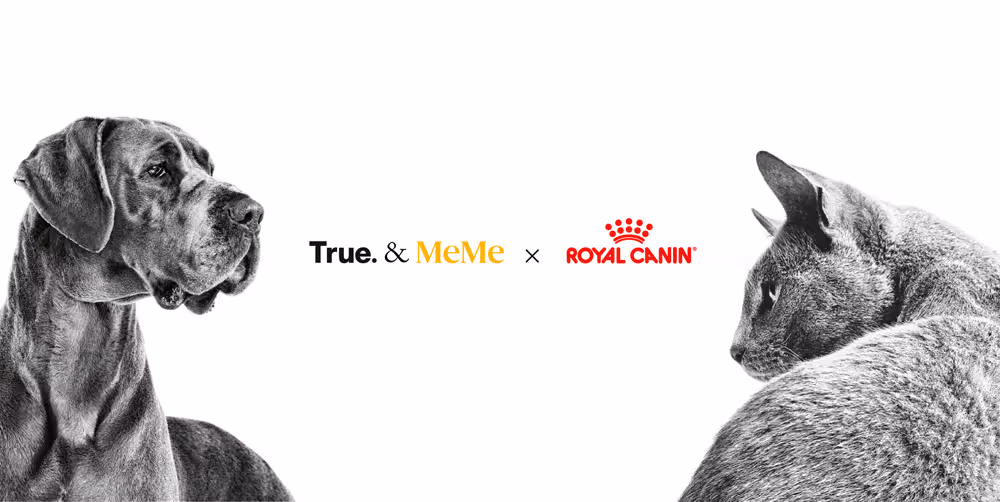 Un gran perro a la izquierda mira hacia un gato gris al otro lado; entre ellos están los textos True. & MeMe y el logo de Royal Canin.