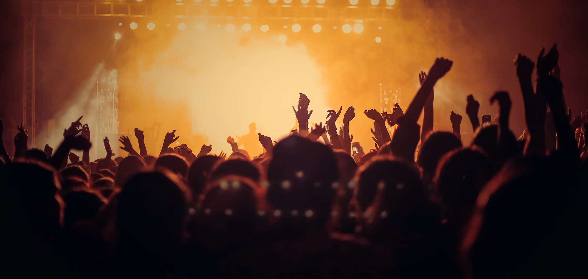 Large crowd watching live concert
