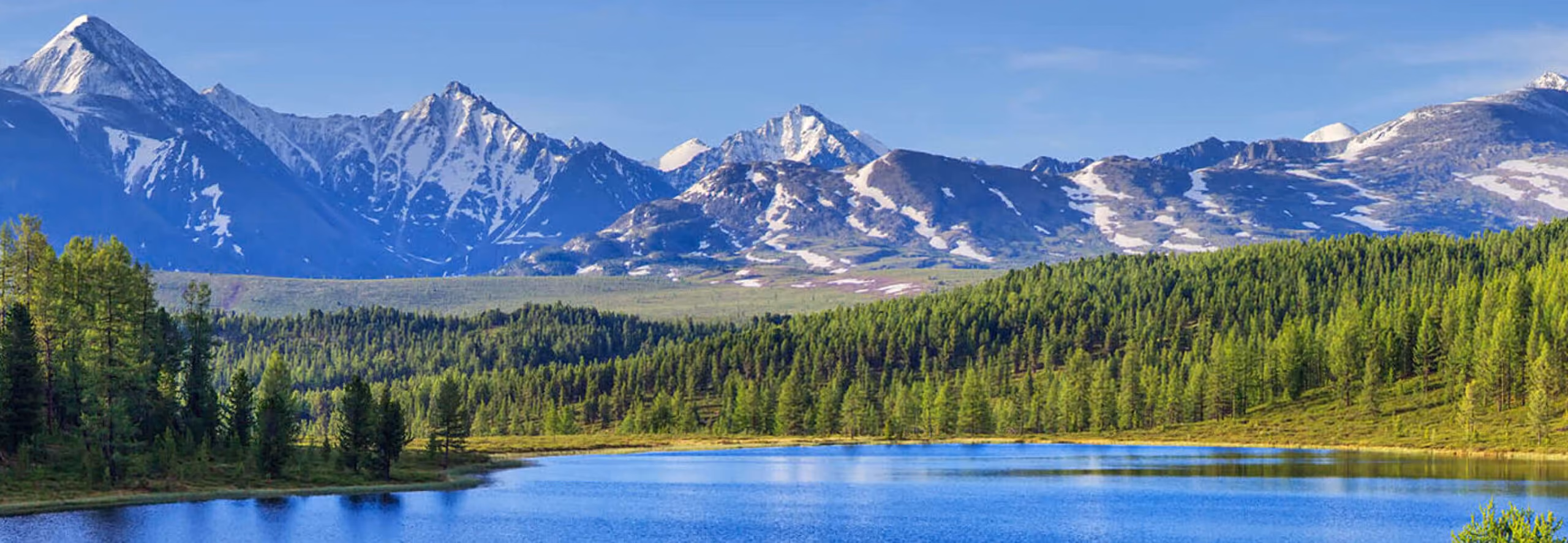 Forest landscape with lake in foreground and mountains in background