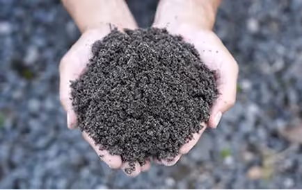 Hands holding soil