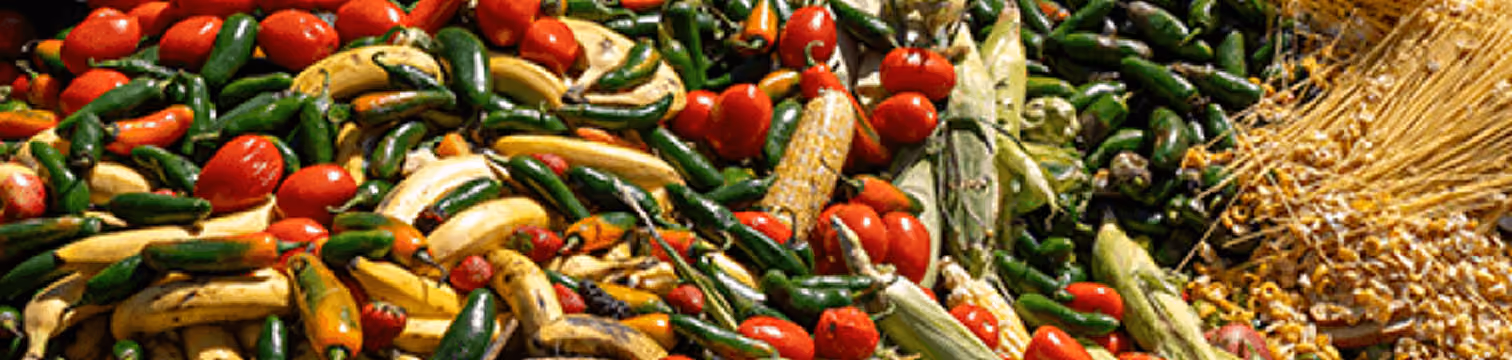 Pile of bananas, chiles, peppers, and grain