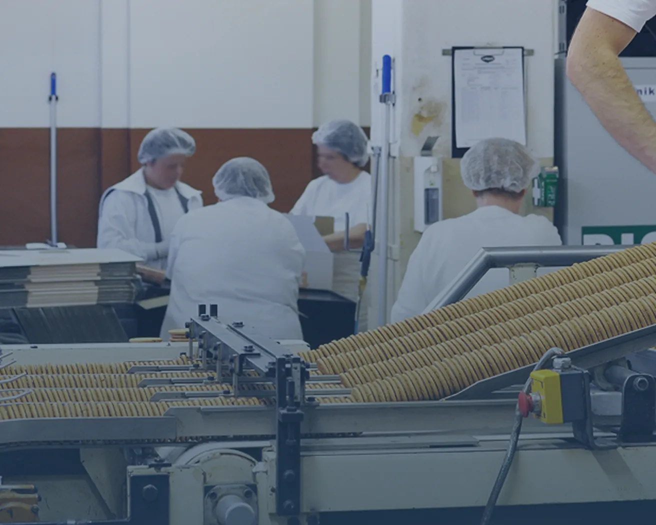 Workers in hairnets operate machinery sorting rows of round cookies in a food manufacturing facility.