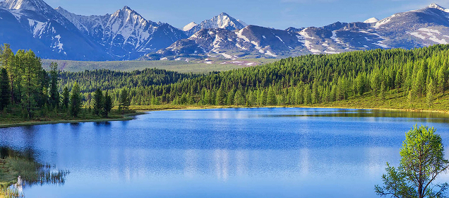 Calm mountain lake reflecting the clear blue sky, surrounded by dense green forest with snow-capped mountains in the background.