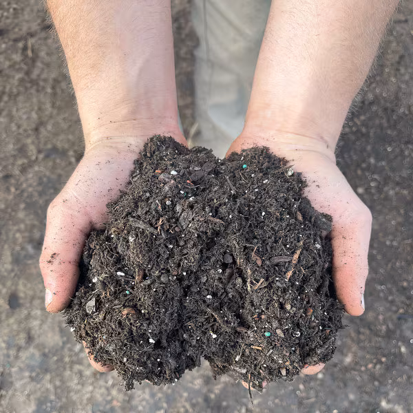 Hands holding potting soil