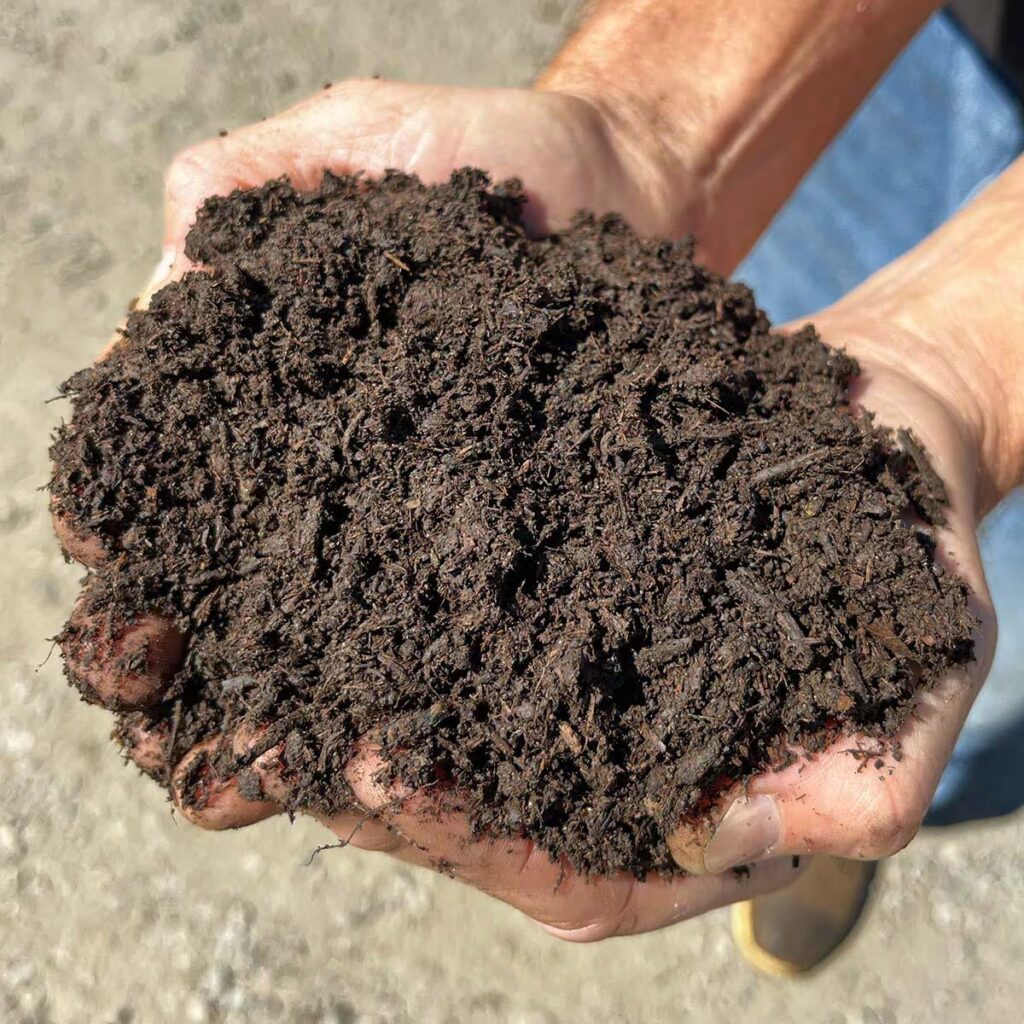 Hands holding compost manure