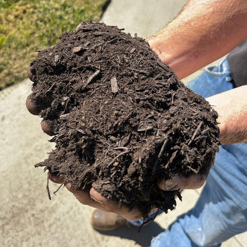 Hands holding Organic Compost