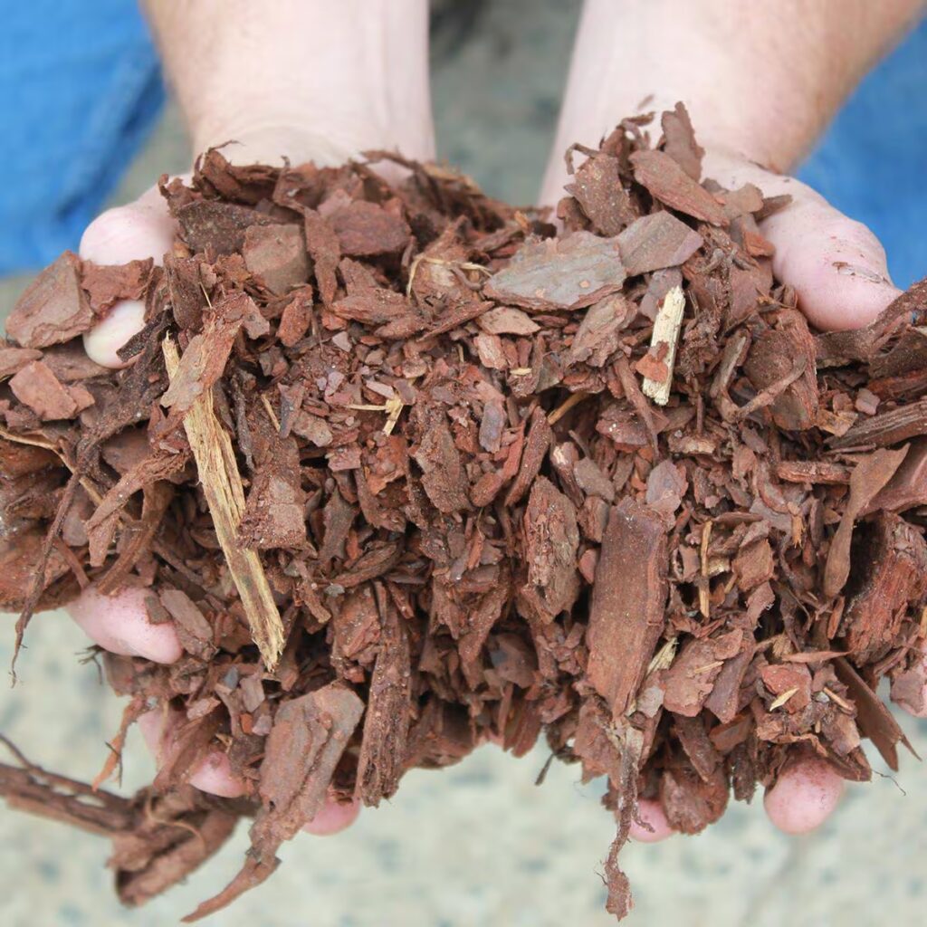 Hands holding pine bark mulch