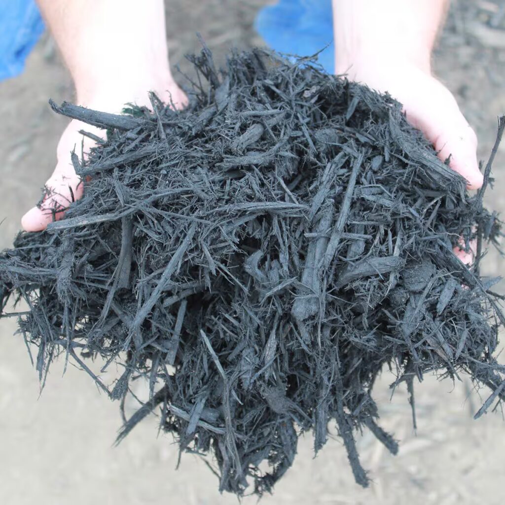Hands holding double ground black mulch