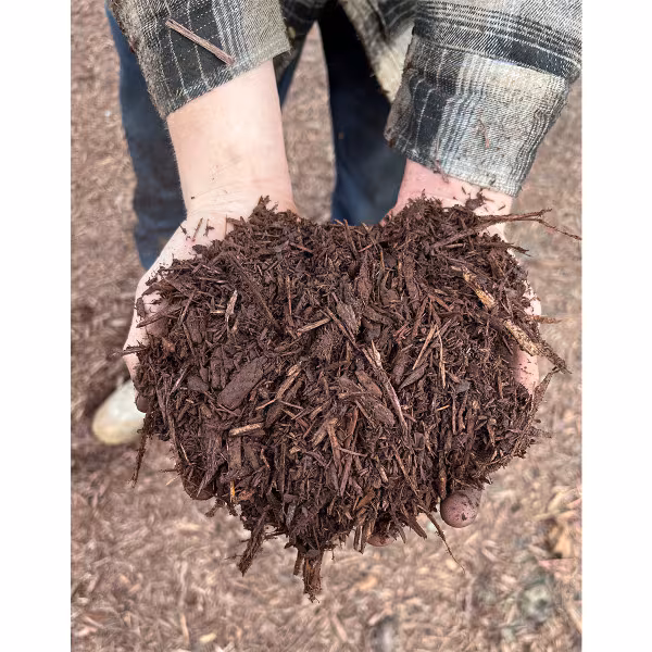 Hands holding triple ground brown colored mulch