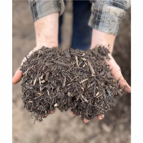 Hands holding triple groun hardwood mulch