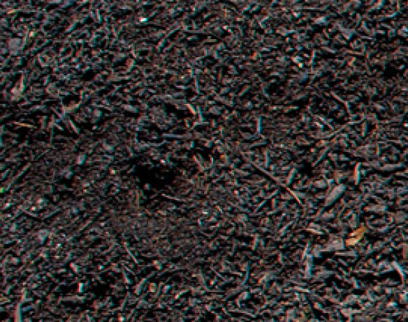 Wholesale Leaf Mold Compost