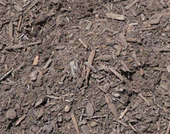 Wholesale Mushroom Compost