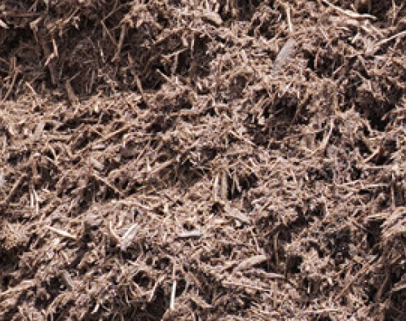 Wholesale Cedar Mulch